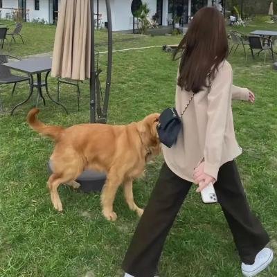 猫儿叫春